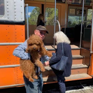 Wag your way through the Central Valley