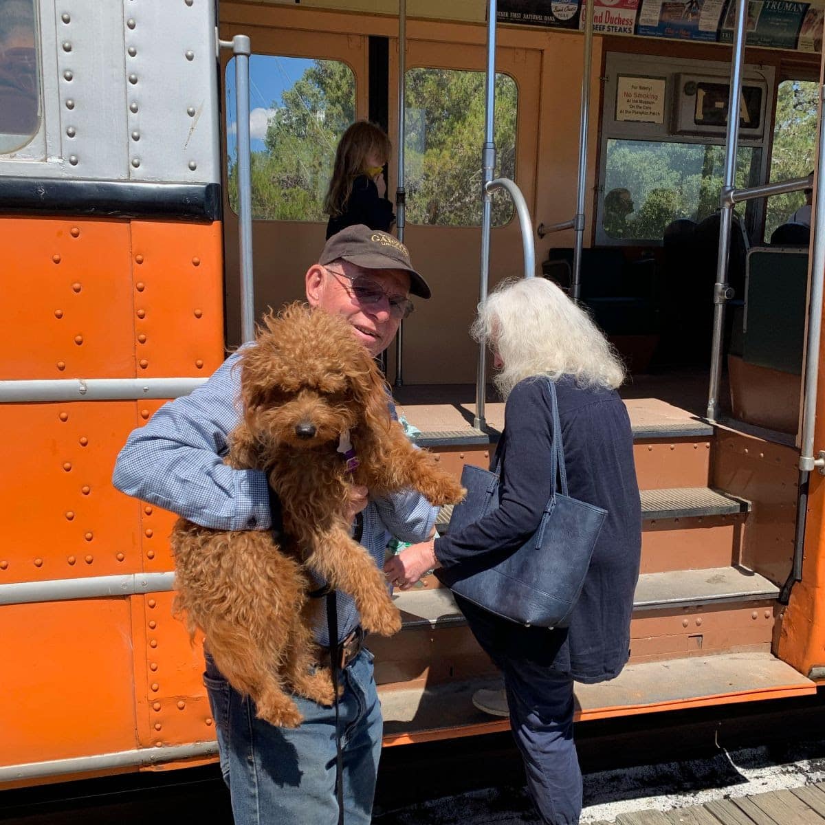Dog boarding a Western Railway museum train