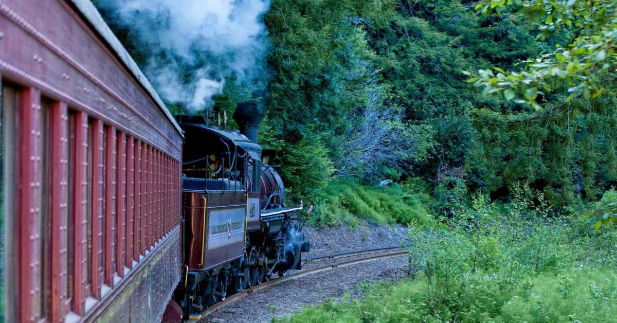 The Skunk Train Take a dogfriendly train ride in California