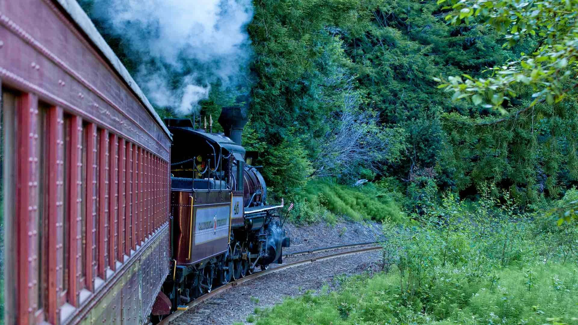 Image from All aboard! Take a dog-friendly train ride to summer fun on DogTrekker