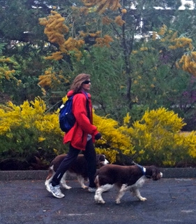 Dog and person in red coat taking walk in Davis