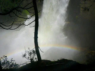 Image from Hear the roar on DogTrekker