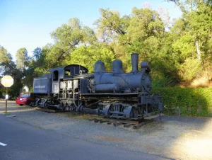 Dog-friendly Gold Country: Exploring Tuolumne County