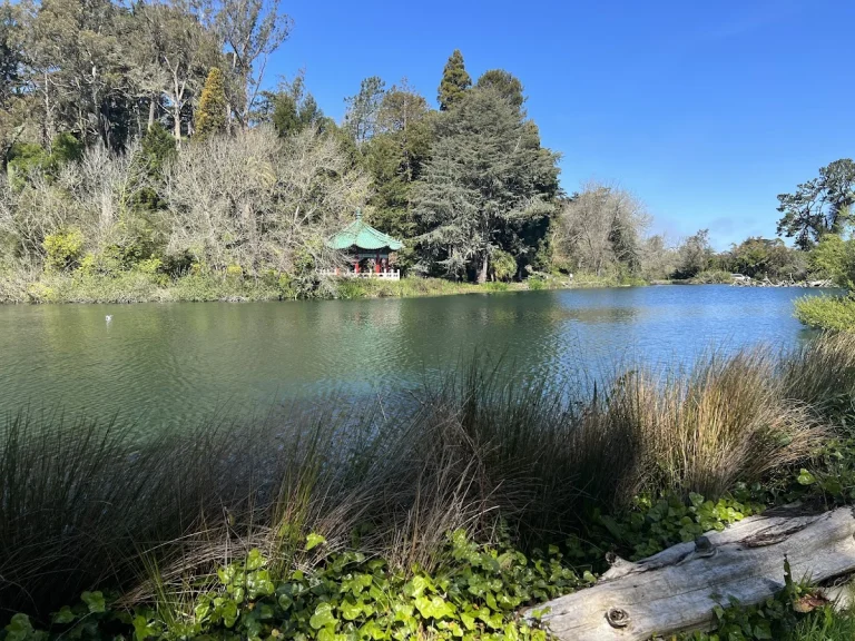 Stow Lake, a dog-friendly boating destination in San Francisco, California