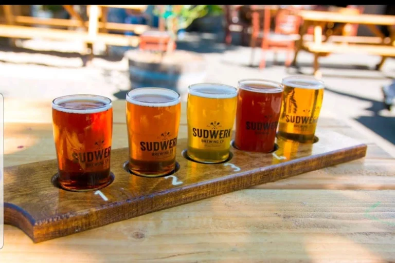 Sudwerk, a dog-friendly bar in Davis, California