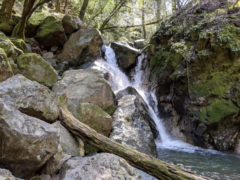 Sugarloaf Ridge State Park, a dog-friendly park in Kenwood, California