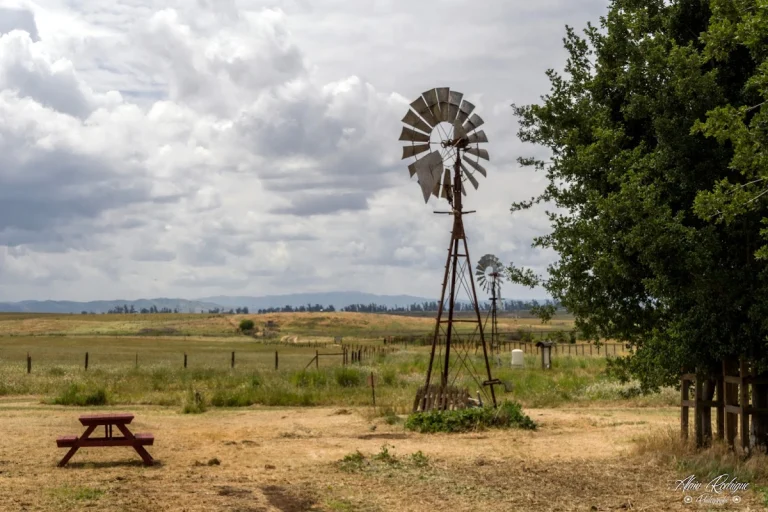 Suisun Hill Trail — Google Places photo