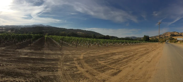Suisun Valley