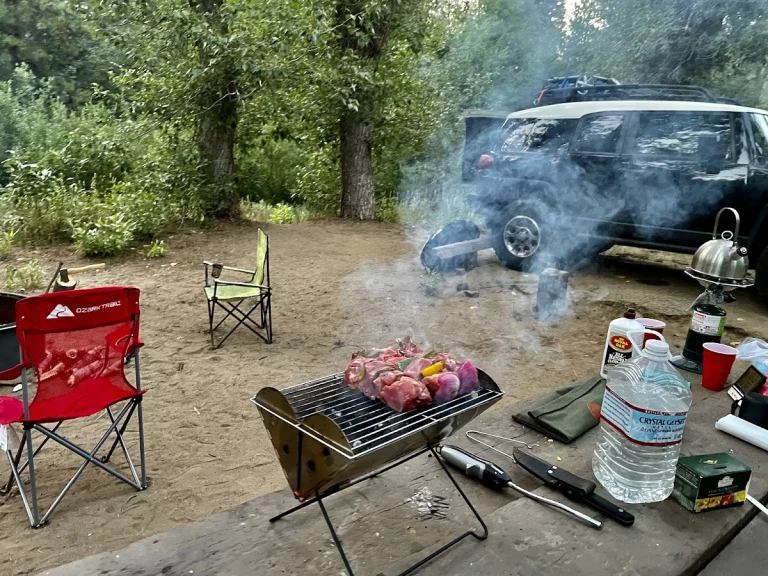 Summerdale Campground, a dog-friendly campground in Fish Camp, California