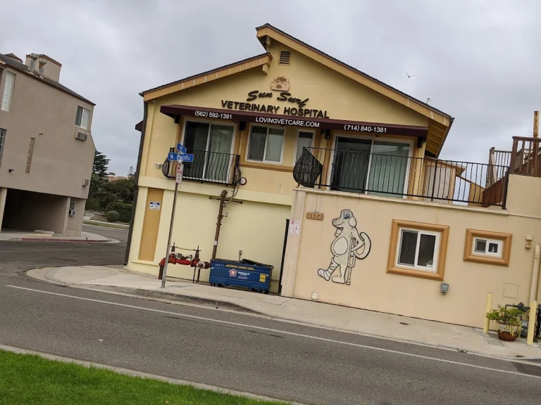 Sun Surf Veterinary Hospital, a dog-friendly veterinary clinic in Sunset Beach, California