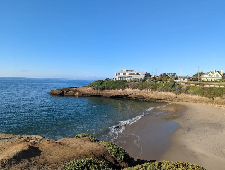 Sunny Cove Beach, a dog-friendly beach in Santa Cruz, California