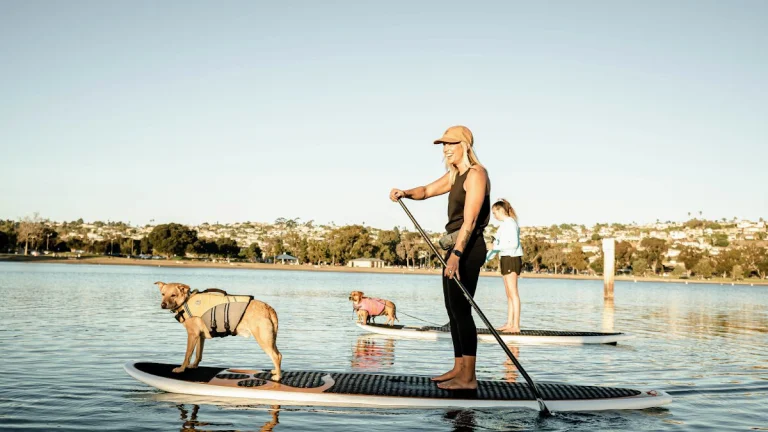 SUP Pups Paddleboard, a dog-friendly river recreation spot in San Diego, California
