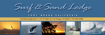 Surf & Sand Lodge Pictures