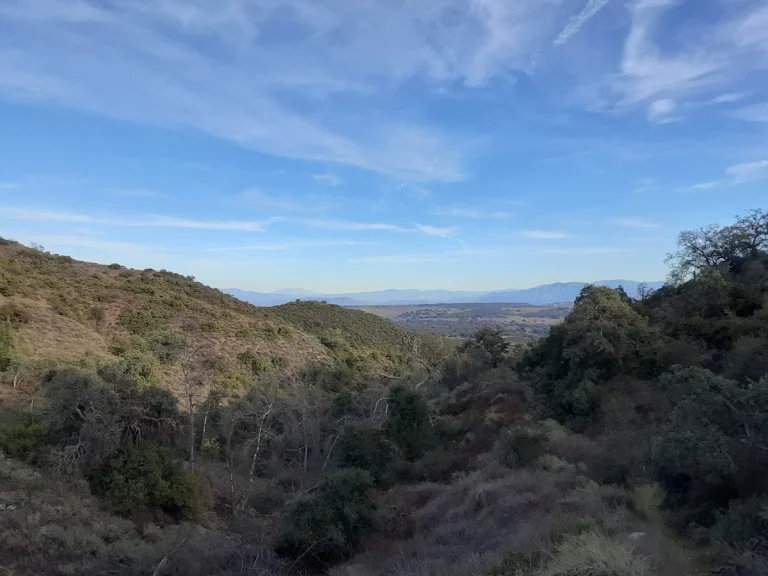 Sylvan Meadows Multi-Use, a dog-friendly hiking trail in Murrieta, California