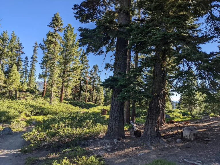 Tahoe Rim Trail