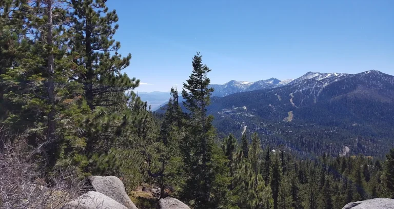 Tahoe Tails and Trails