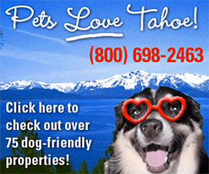 Tahoe Keys Ad with Dog