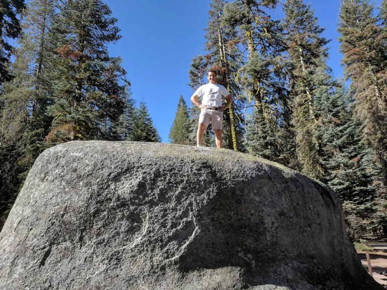Tamarack Flat Campground, a dog-friendly campground in Yosemite National Park, California