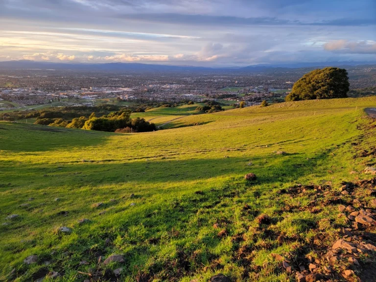 Taylor Mountain Regional Park, a dog-friendly park in Santa Rosa, California