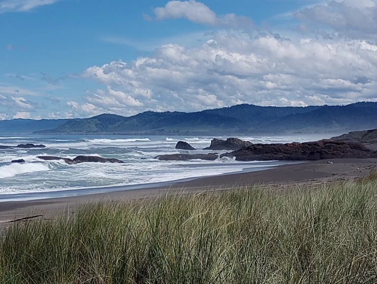 Ten Mile Beach Trail, Fort Bragg