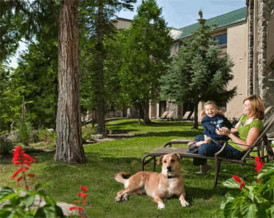 Dog on the lawn with family