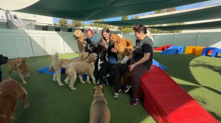 Barkley Pet Hotel