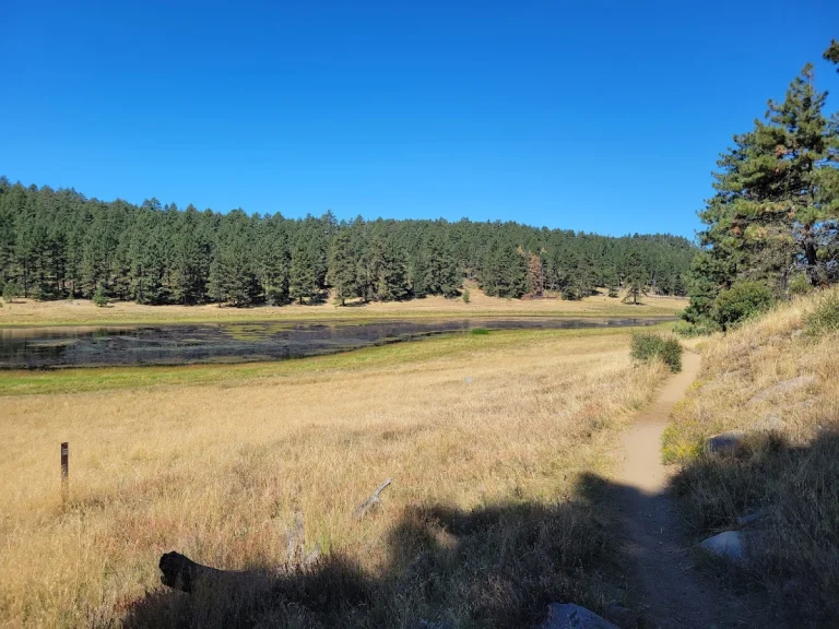 The Big Laguna Trail, a dog-friendly hiking trail in Pine Valley, California