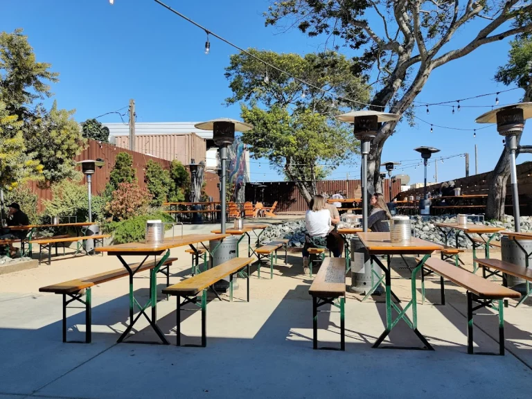 The Junction Beer Garden, a dog-friendly bar in Mill Valley, California