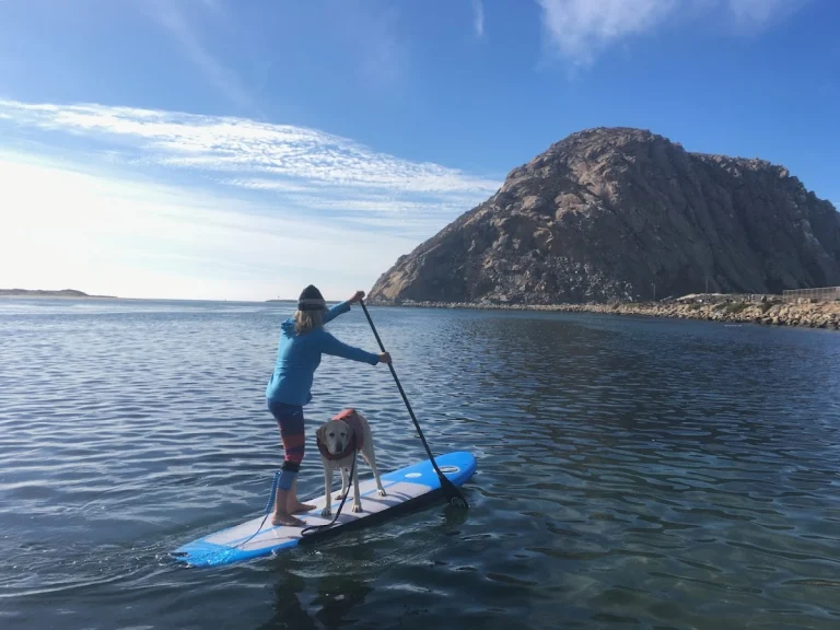 The Paddleboard Company, a dog-friendly river recreation spot in Morro Bay, California