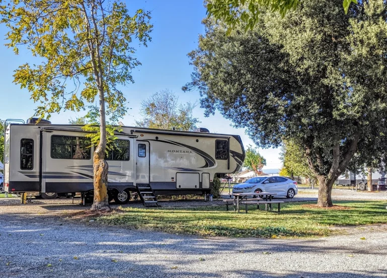 The Parkway RV Resort, a dog-friendly campground in Orland, California