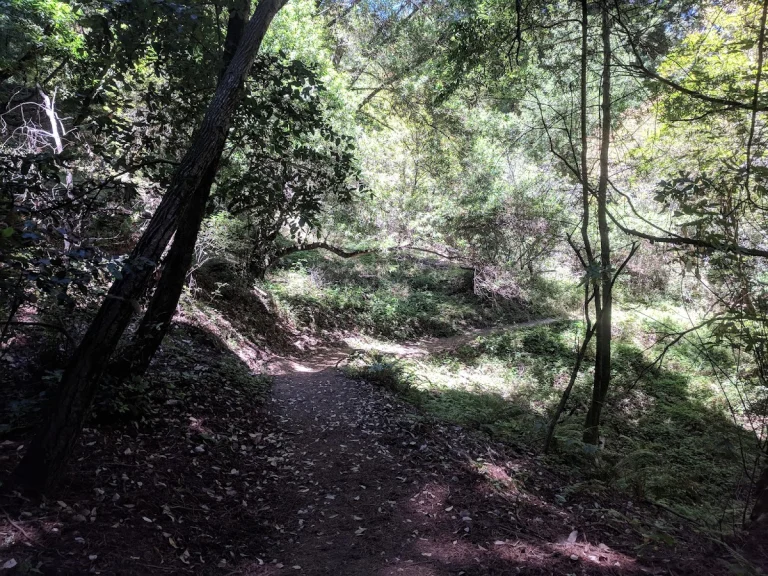 Thornewood Open Space, Woodside