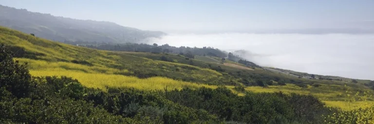 Three Sisters Reserve, a dog-friendly hiking trail in Rancho Palos Verdes, California
