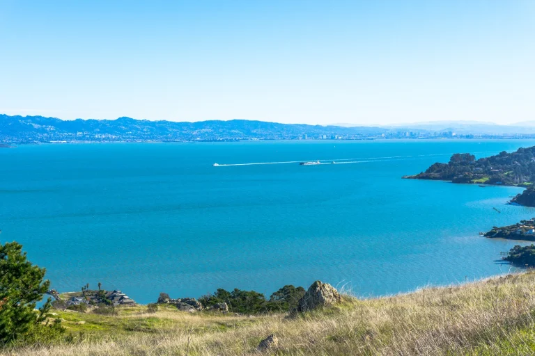 Tiburon Ridge Open Space Google Places photo