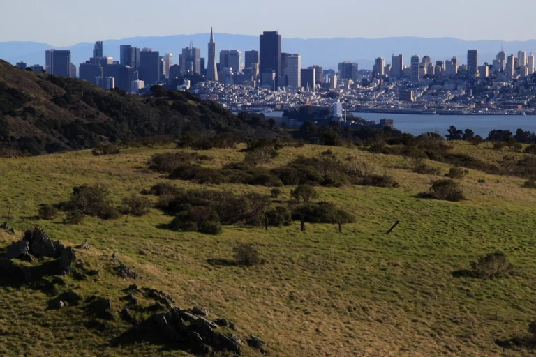 Tiburon Uplands Nature, a dog-friendly hiking trail in Tiburon, California