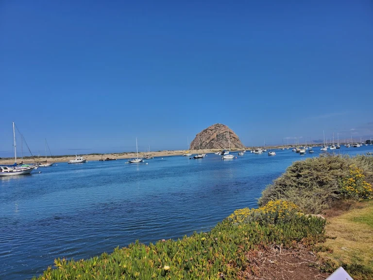 Tidelands Park, a dog-friendly campground in Morro Bay, California
