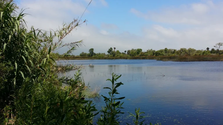 Tijuana River Valley
