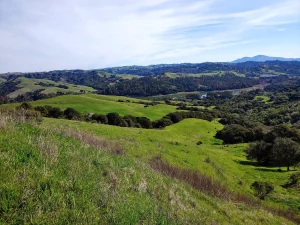 Tilden Regional Park Google Places photo