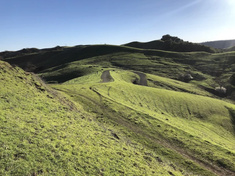 Timberhill Park Trail, a dog-friendly hiking trail in Napa, California