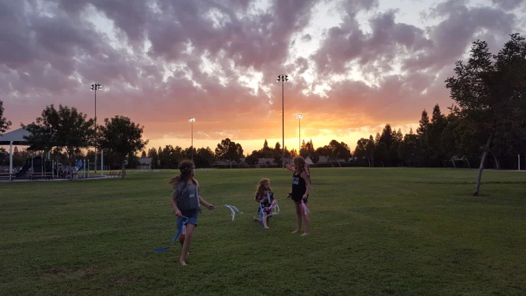 Todd Beamer Dog Park