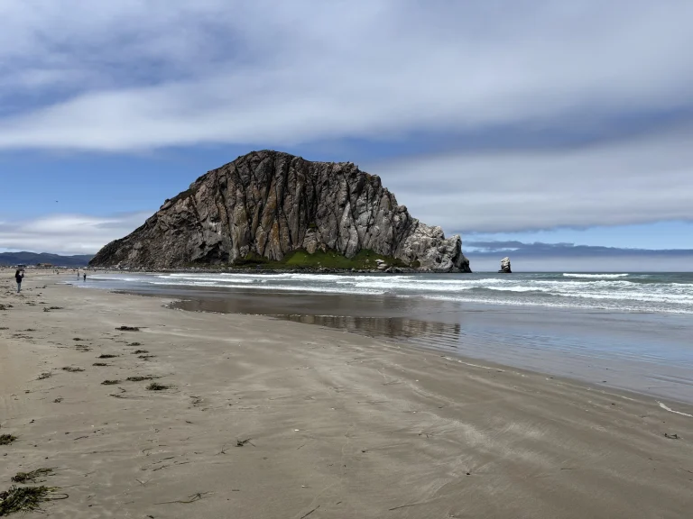 Toro Creek Dog Beach Google Places photo