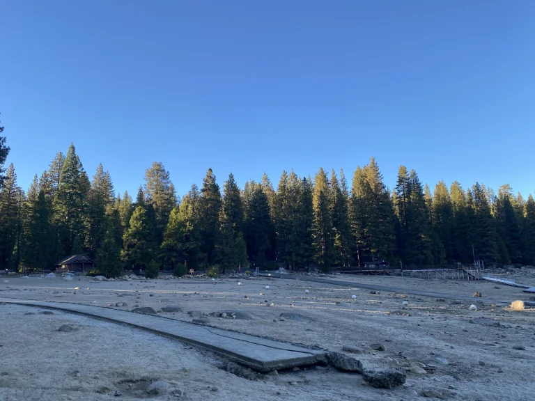 Trail of the Survivors
