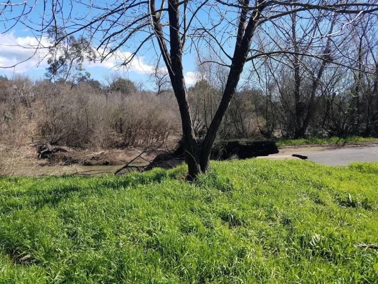 Trancas Crossing Park, Napa