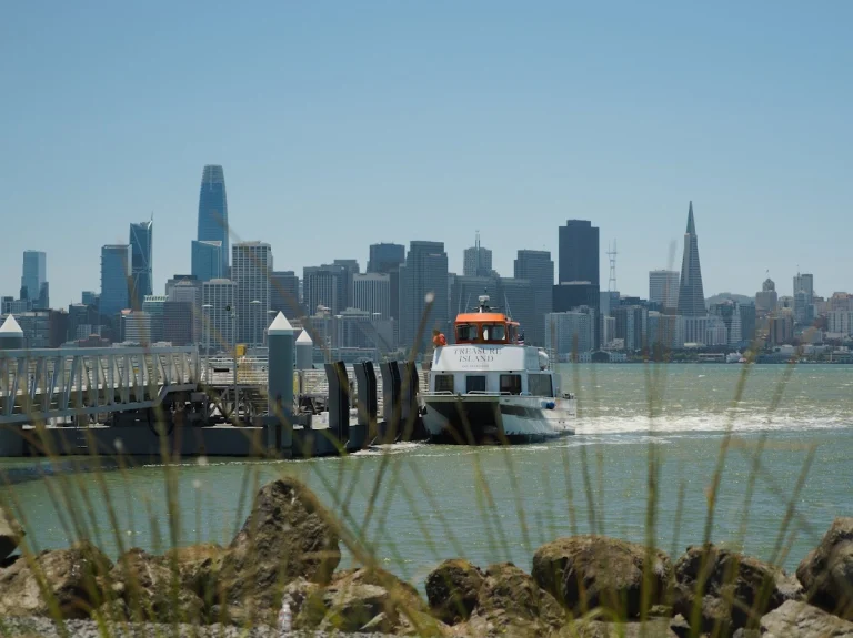 Treasure Island Flea Market, San Francisco