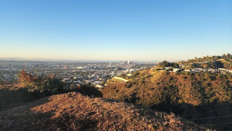 Trebek Open Space, a dog-friendly hiking trail in Hollywood, California