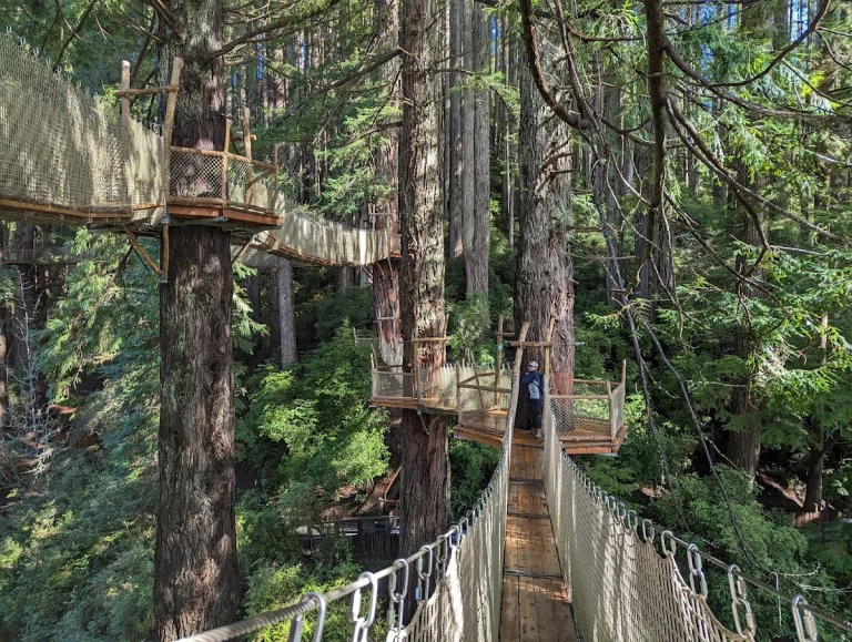Trees of Mystery, a dog-friendly attraction in Klamath, California