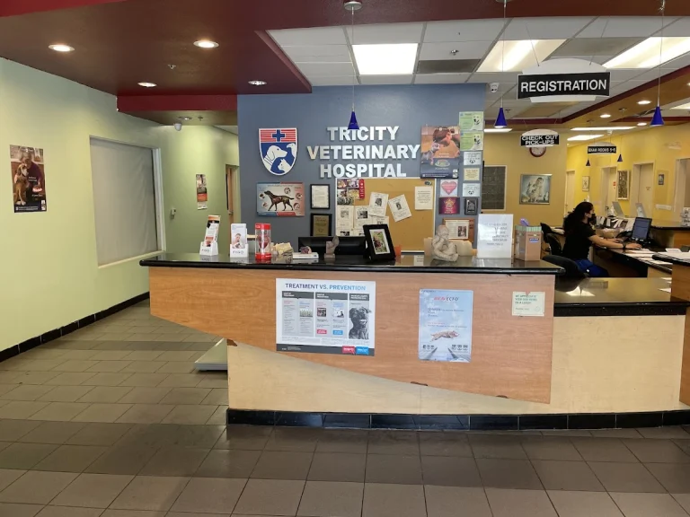 TriCity Veterinary Hospital, a dog-friendly veterinary clinic in Fremont, California