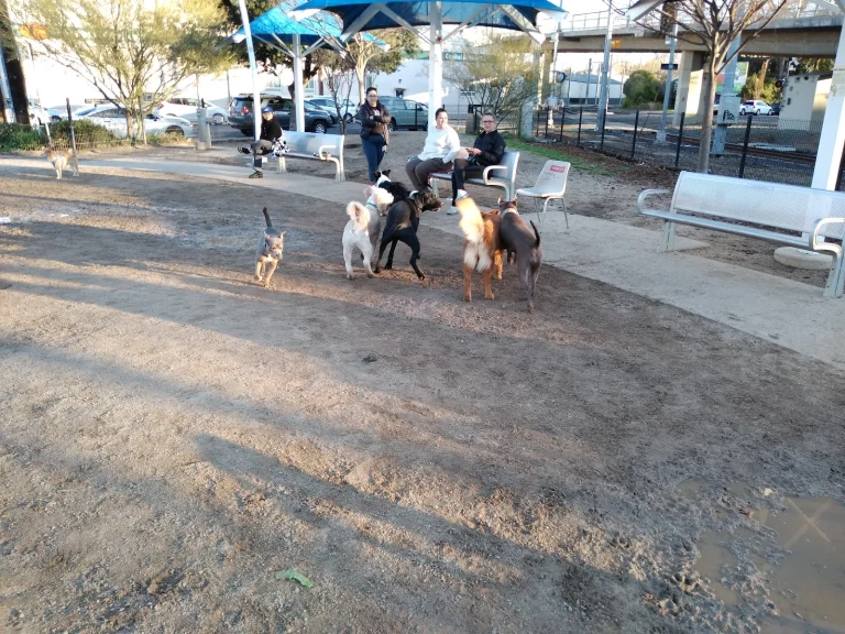 Truitt Bark Park Google Places photo