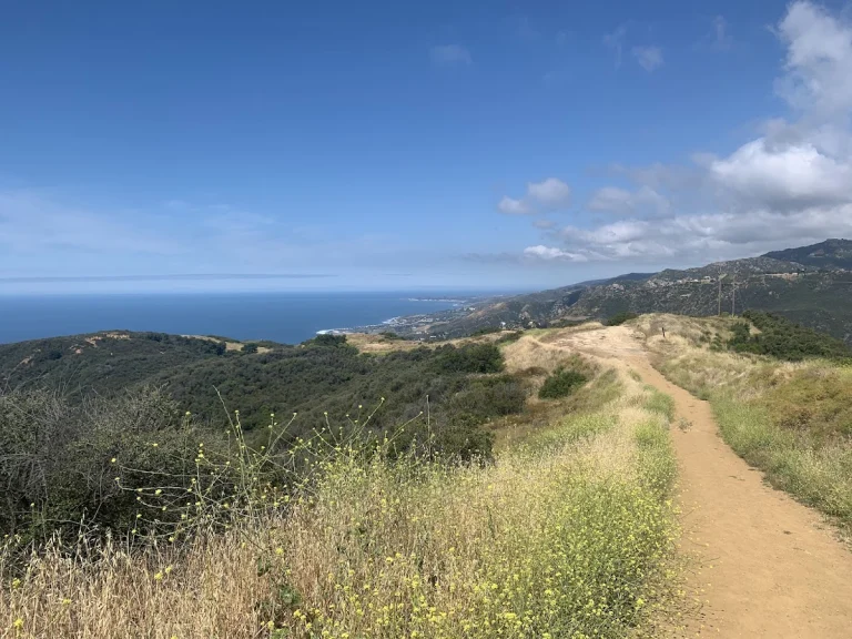 Tuna Canyon Park, a dog-friendly park in Topanga, California