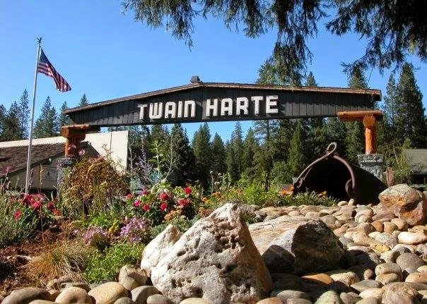 Twain Harte Vacation Rentals — dog-friendly vacation rentals in Twain Harte