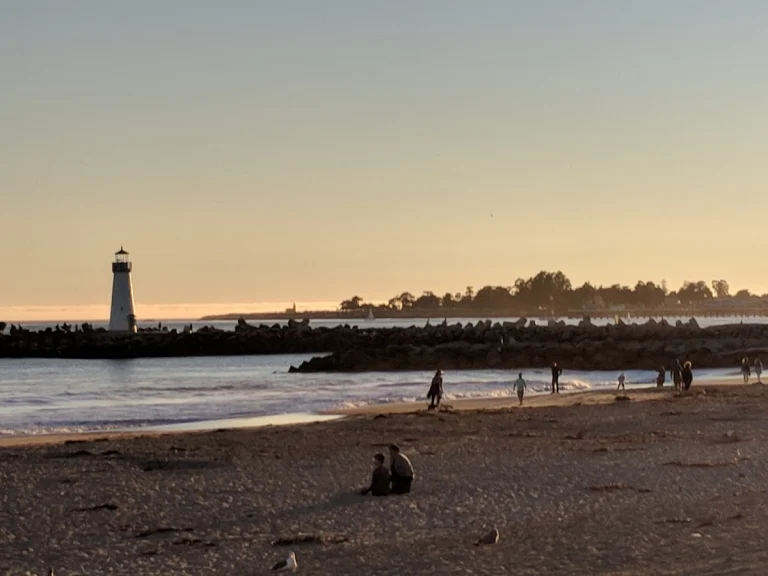 Twin Lakes State Beach, a dog-friendly beach in Santa Cruz, California
